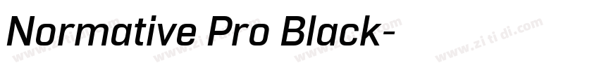 Normative Pro Black字体转换